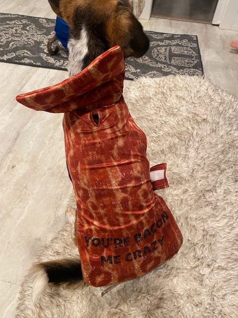 Bacon Costumes For Dogs, Bacon Pet Costumes